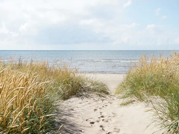 Bild 24 von 26