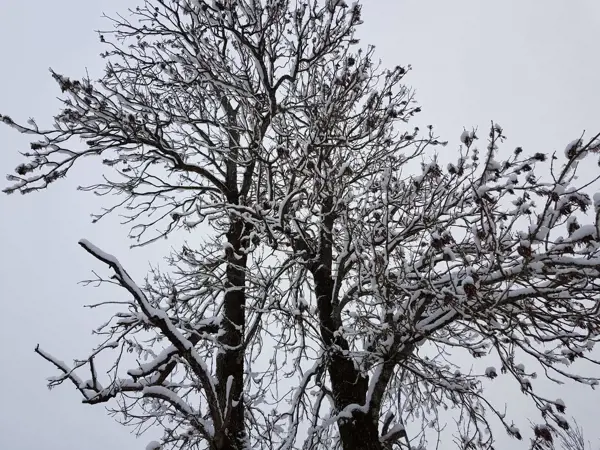 Bild 35 von 35