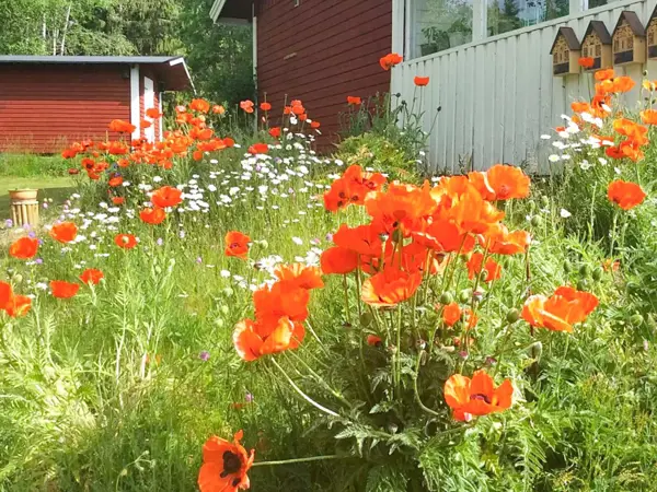 Bild 2 von 40