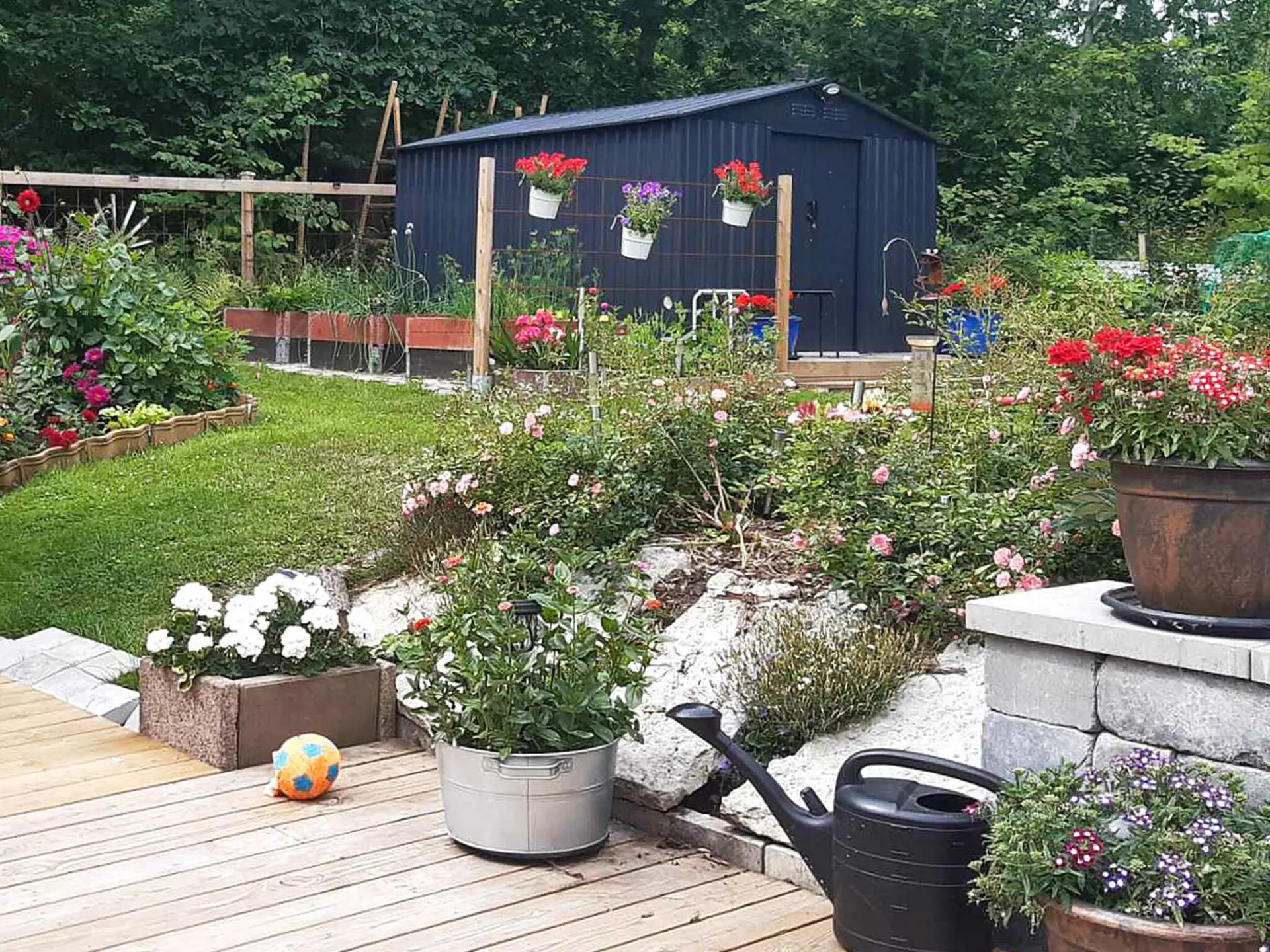 Bild 5 von 41