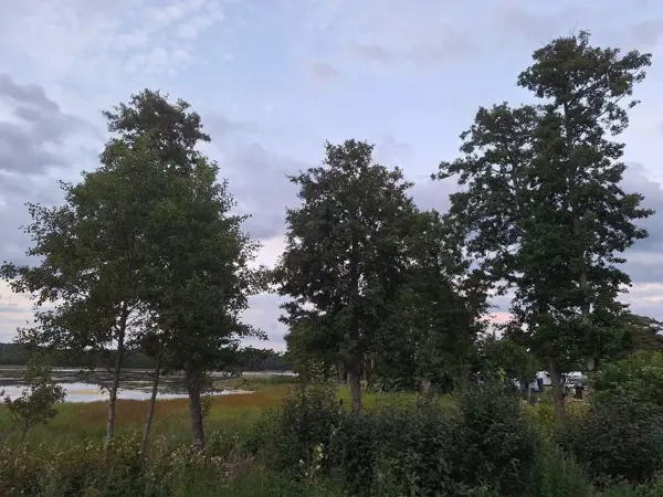 Bild 33 von 35