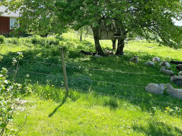 Bild 3 von 30