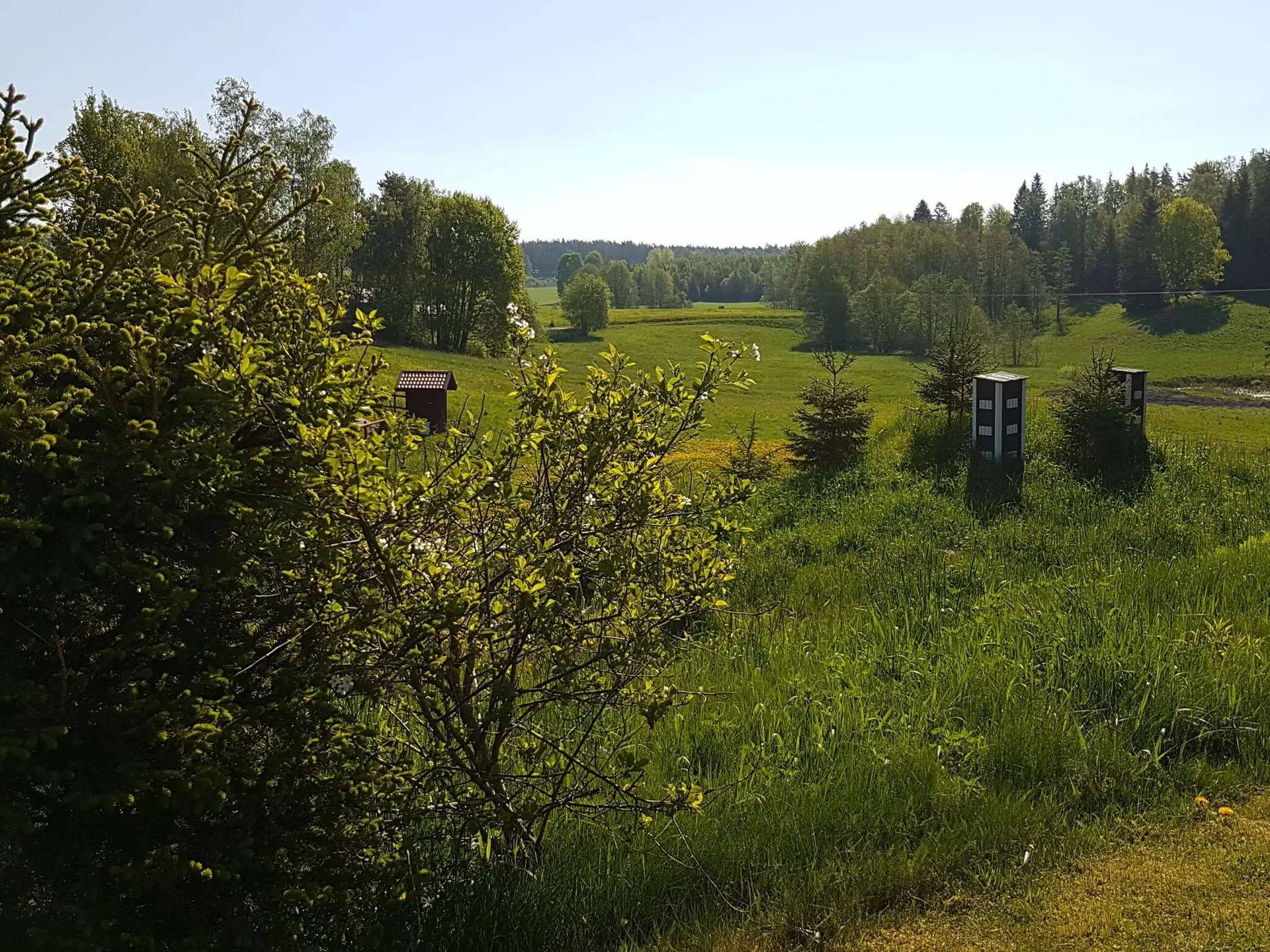 Bild 33 von 36
