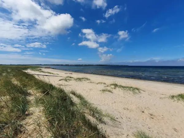 Bild 32 von 51