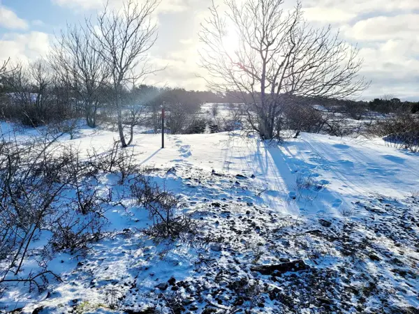 Bild 35 von 36