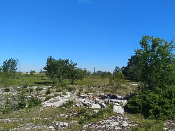 Bild 36 von 36
