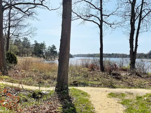 Bild 9 von 25