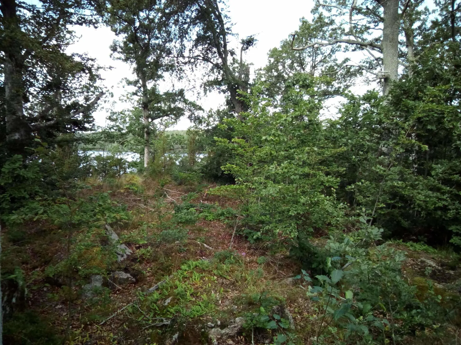 Bild 34 von 34
