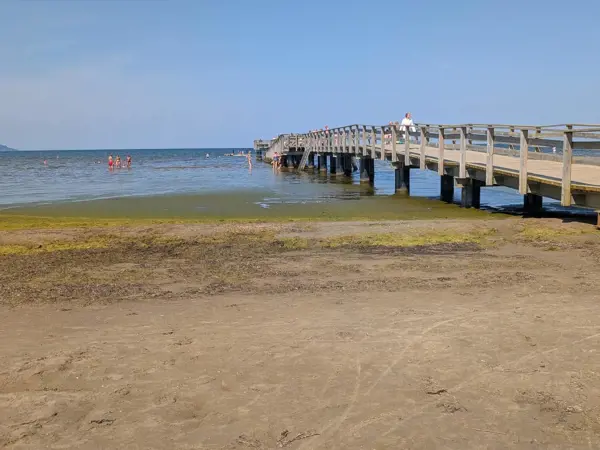 Bild 18 von 35