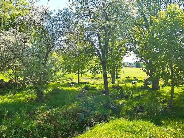 Bild 7 von 26