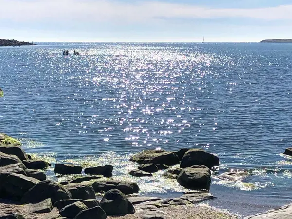 Bild 25 von 31