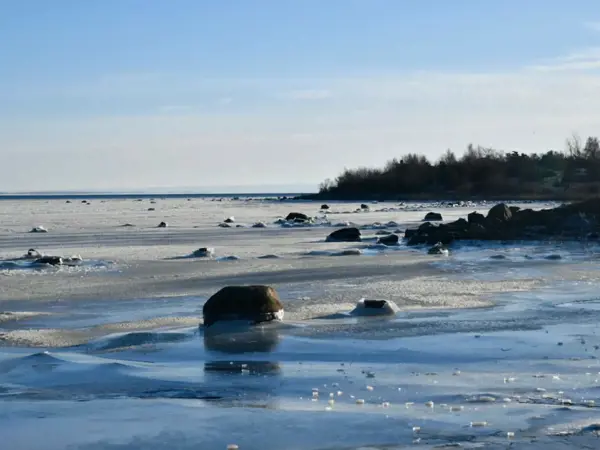 Bild 37 von 49