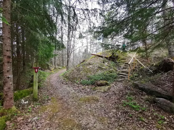 Bild 36 von 36
