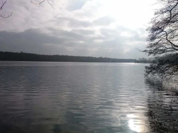 Bild 12 von 35