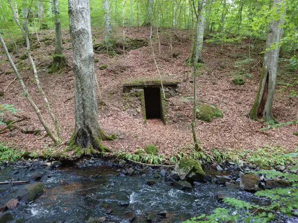 Bild 35 von 35