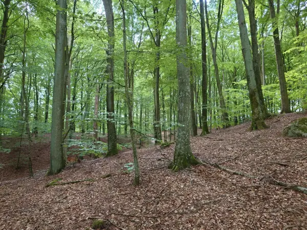 Bild 31 von 35