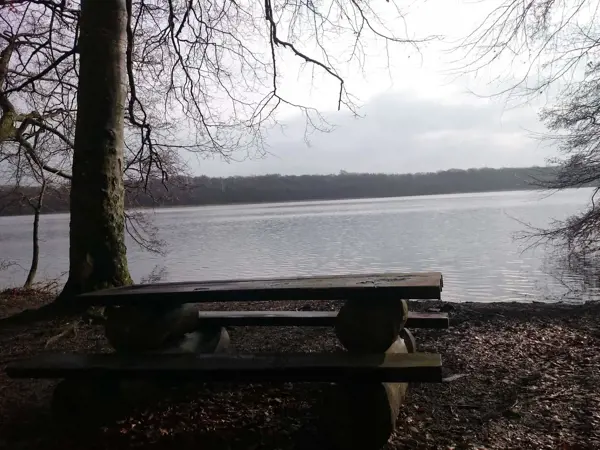 Bild 8 von 36