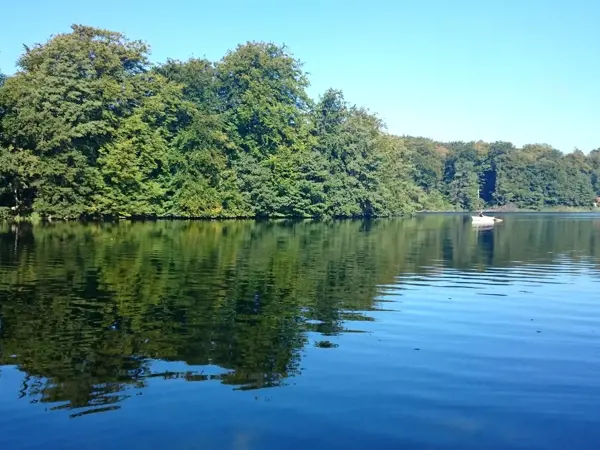 Bild 10 von 36