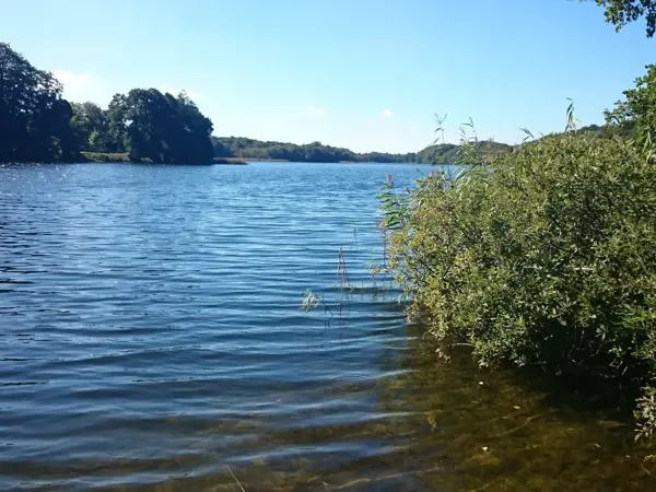Bild 12 von 36