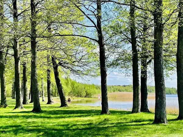 Bild 22 von 23