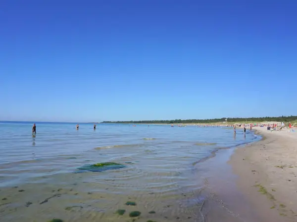 Bild 38 von 43