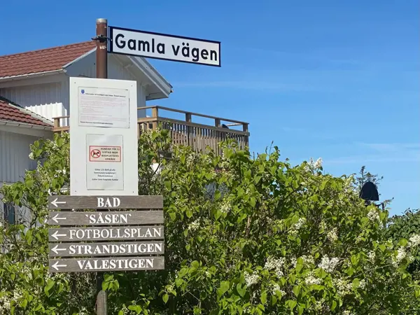 Bild 7 von 19