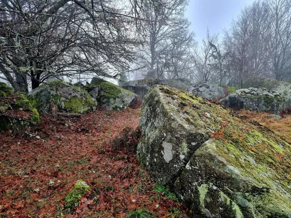 Bild 32 von 32