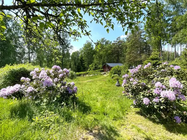 Bild 7 von 24