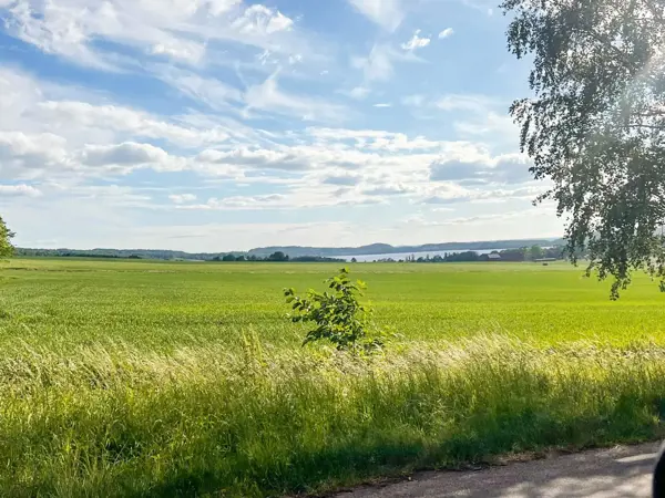 Bild 11 von 13