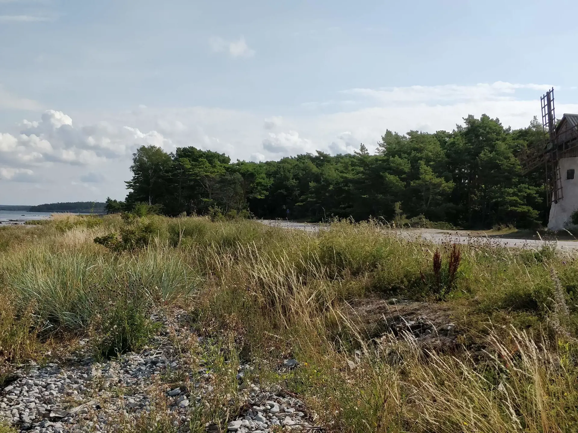 Bild 35 von 35