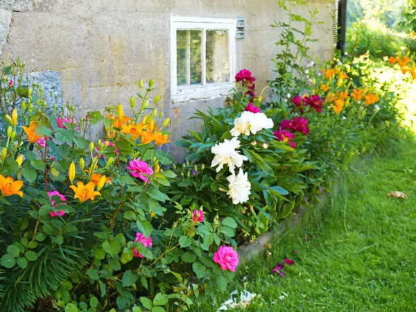 Bild 7 von 26