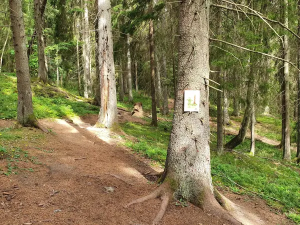 Bild 33 von 36