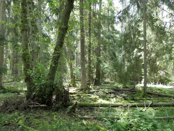Bild 27 von 33