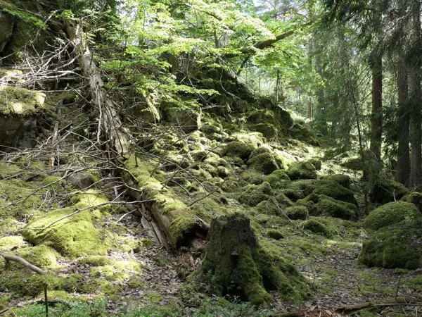 Bild 29 von 33