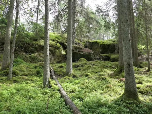Bild 31 von 33