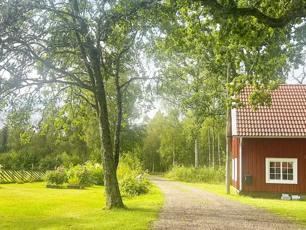 Bild 8 von 24