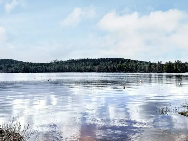 Bild 29 von 31