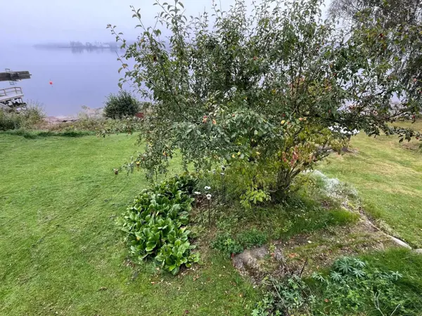 Bild 10 von 37