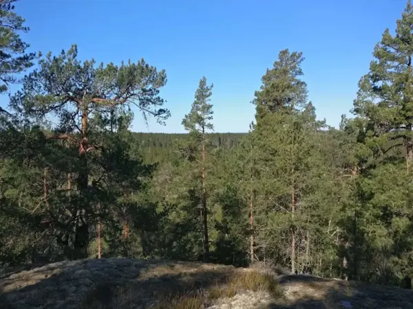 Bild 35 von 37