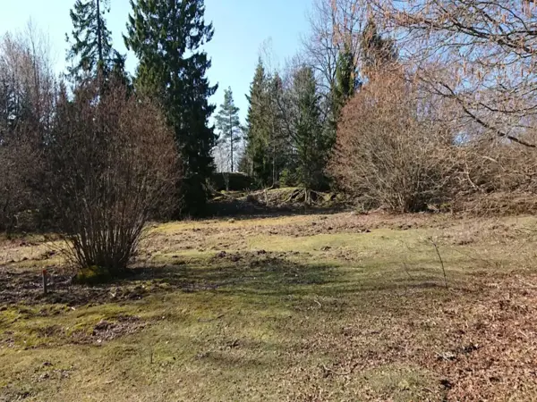 Bild 36 von 37