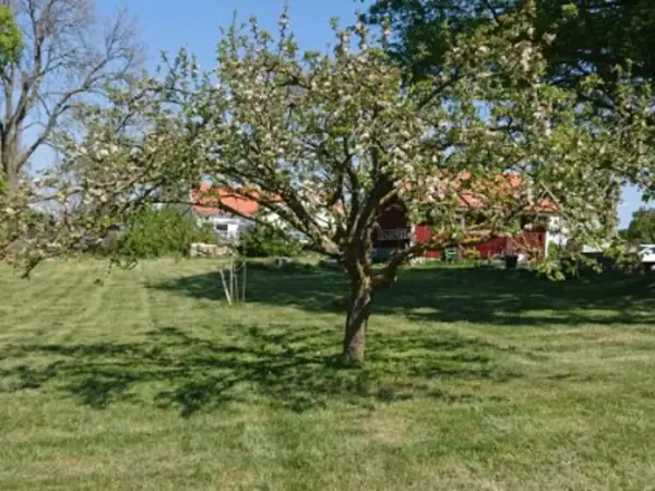 Bild 15 von 34
