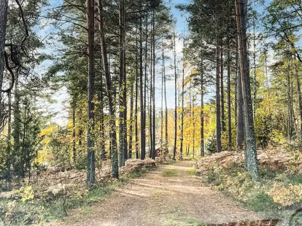 Bild 5 von 33
