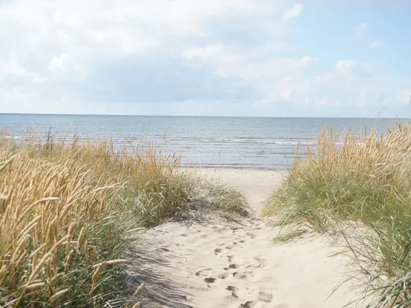 Bild 30 von 31