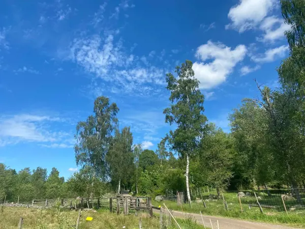 Bild 27 von 40
