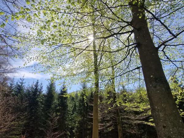 Bild 33 von 40