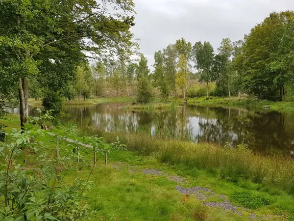 Bild 17 von 37