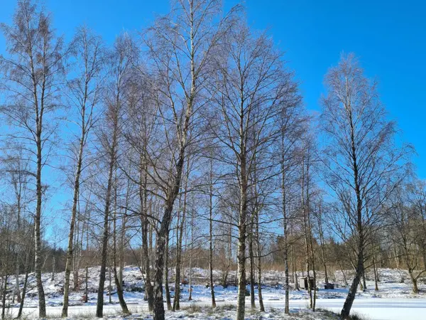 Bild 35 von 37