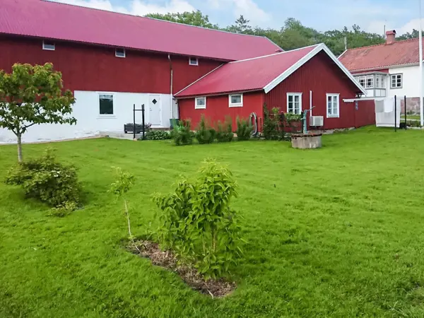Ferienhaus 59390 in Orust / Bohuslän