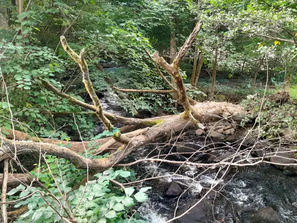 Bild 16 von 35