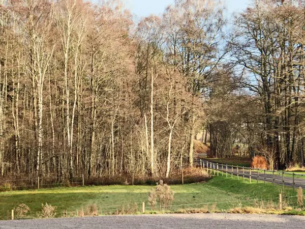 Bild 29 von 35